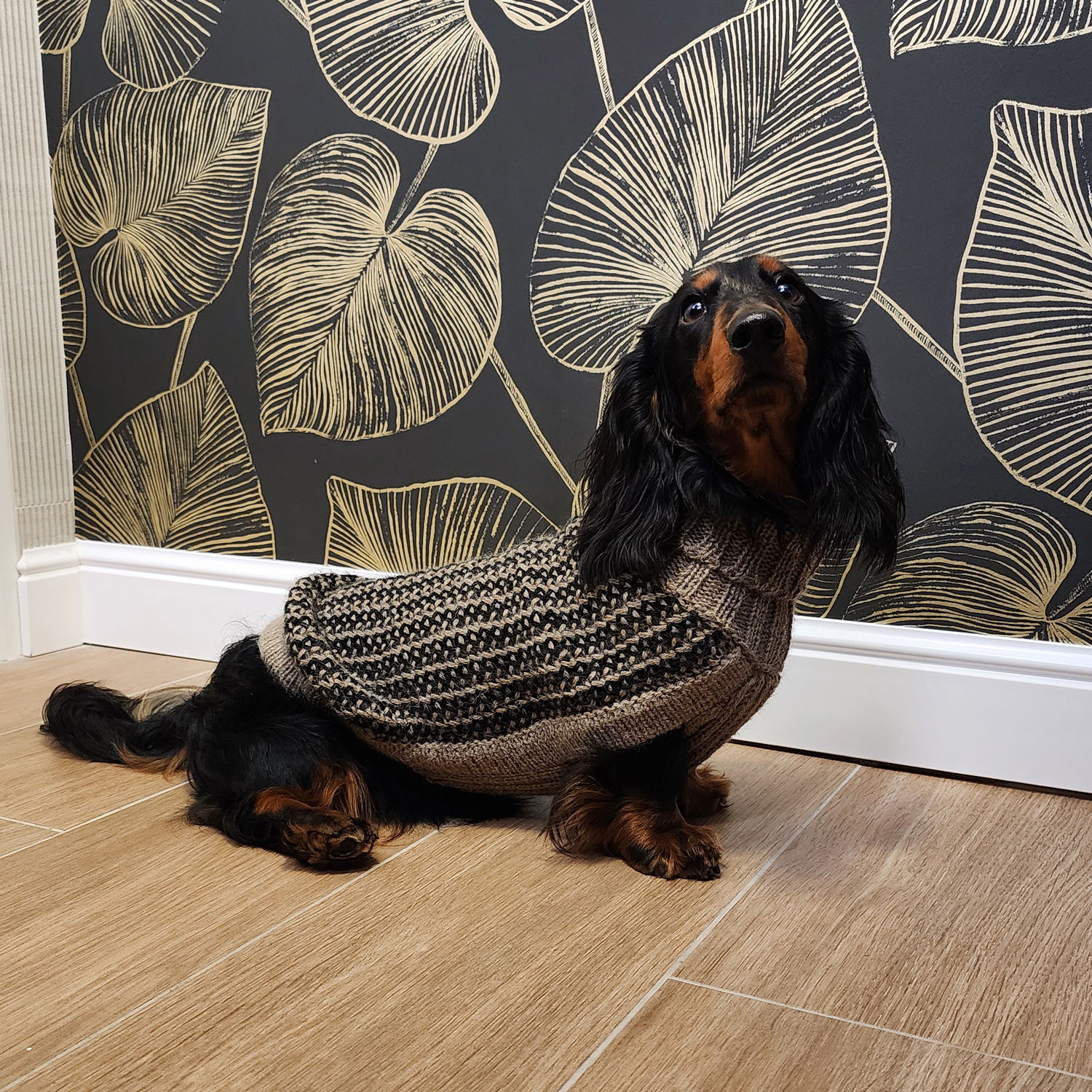 Dog Sweater - Harmony Dark - Size S - 2