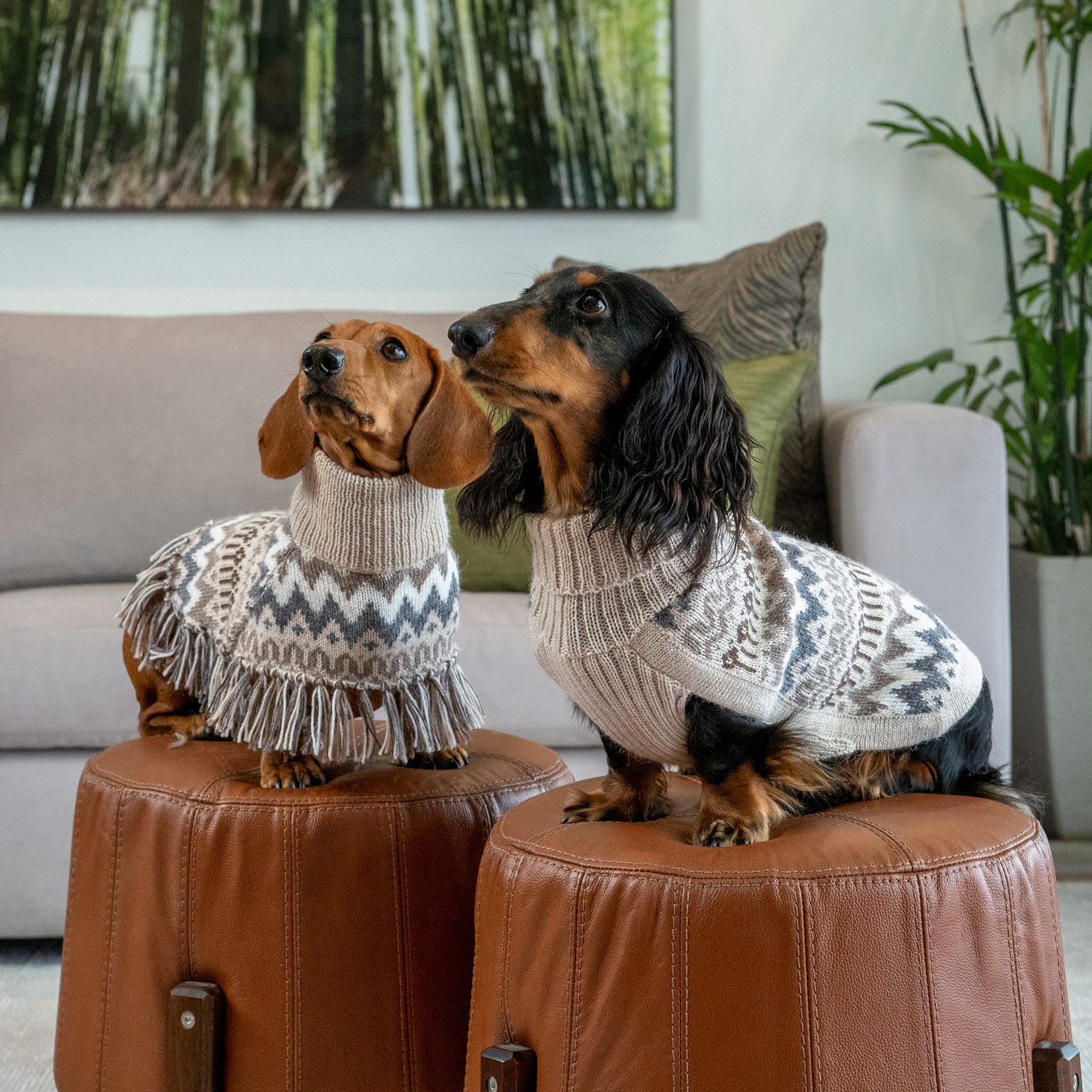 Dog Sweater - Woolly Winter - Size L - 2