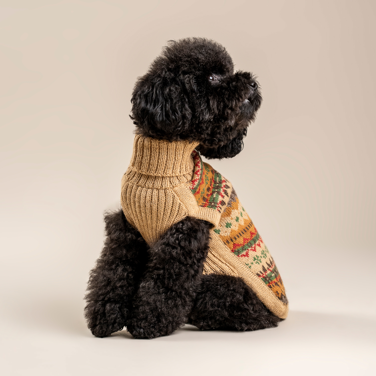 Dog Sweater - Fair Isle Finn - Size M - 2