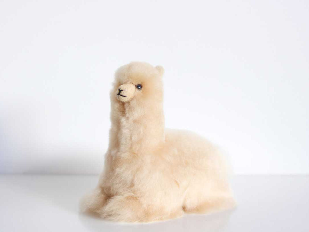 Lying Huacaya Alpaca Figure 20x18cm - 1