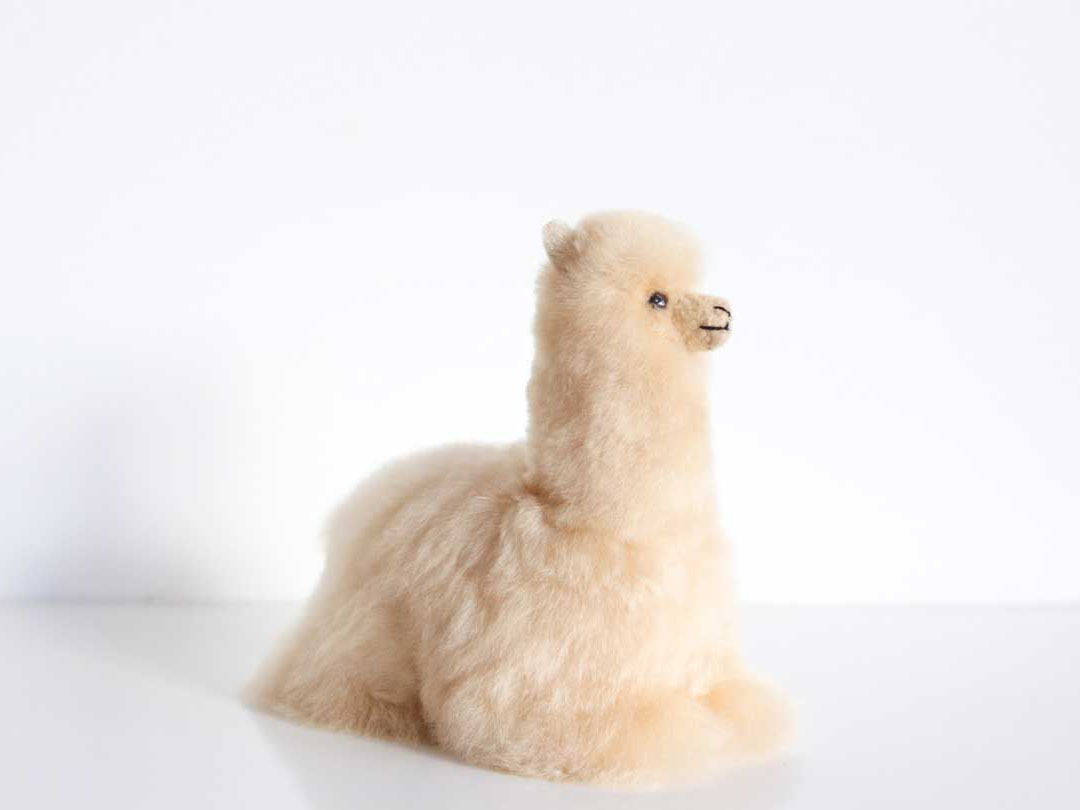 Lying Huacaya Alpaca Figure 20x18cm - 2